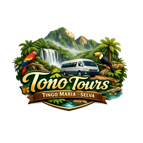 Toño Jara T